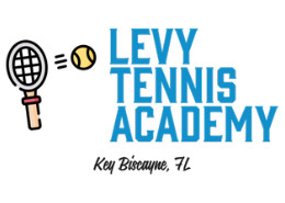 levy logo
