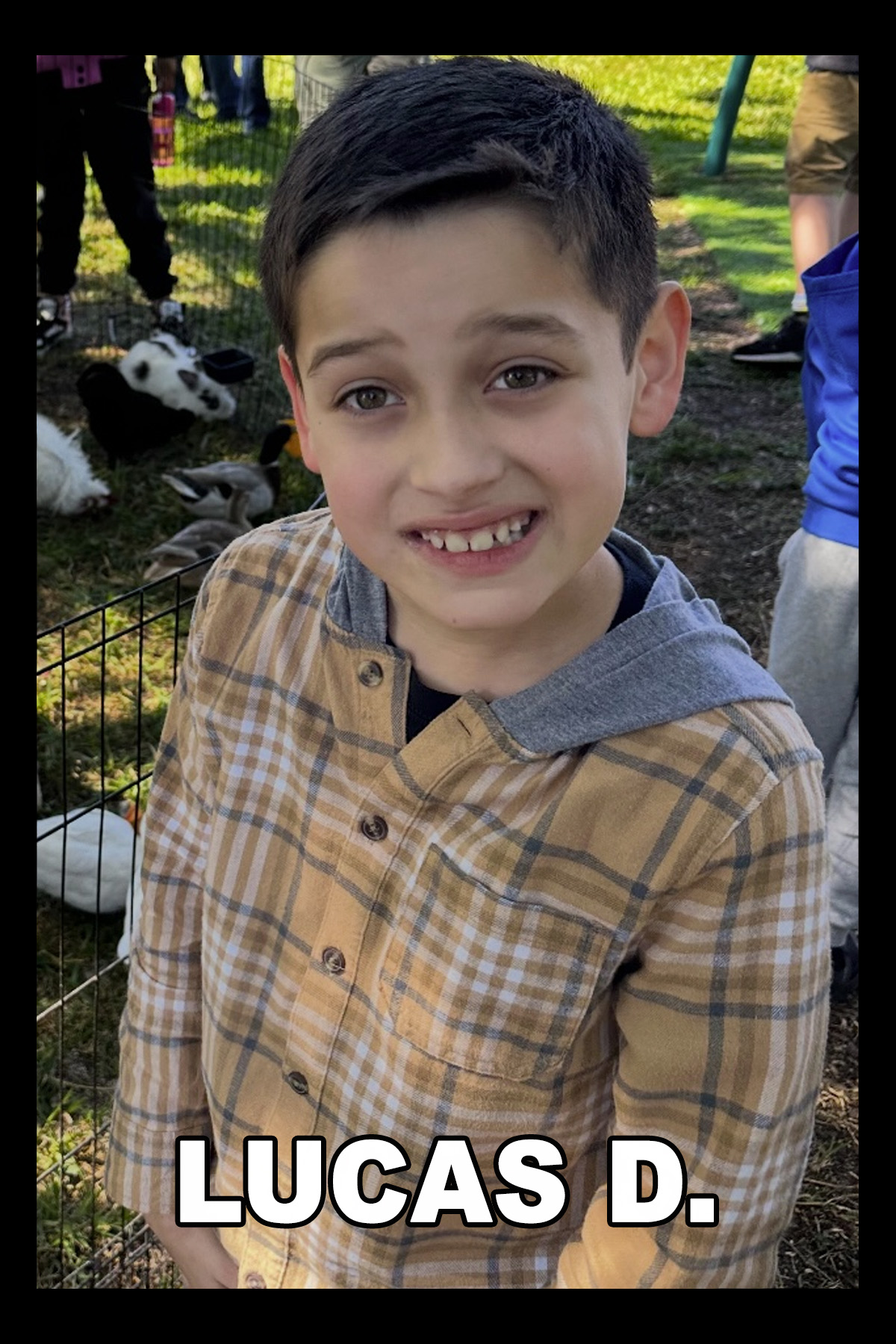 346 LUCAS D